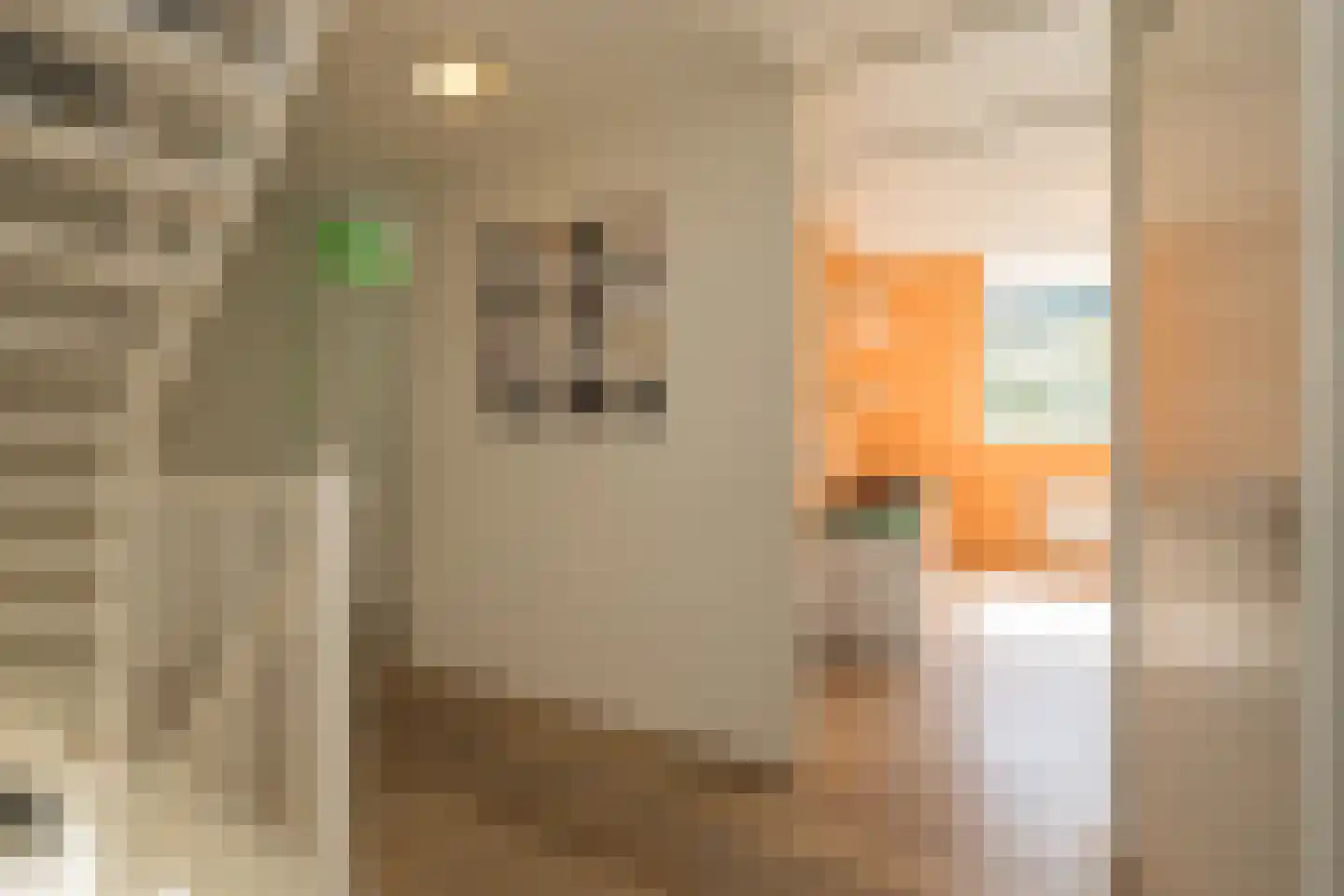 Huifkar 29 Sassenheim thumbnail 25