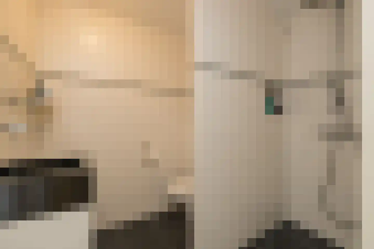 Huifkar 29 Sassenheim thumbnail 28