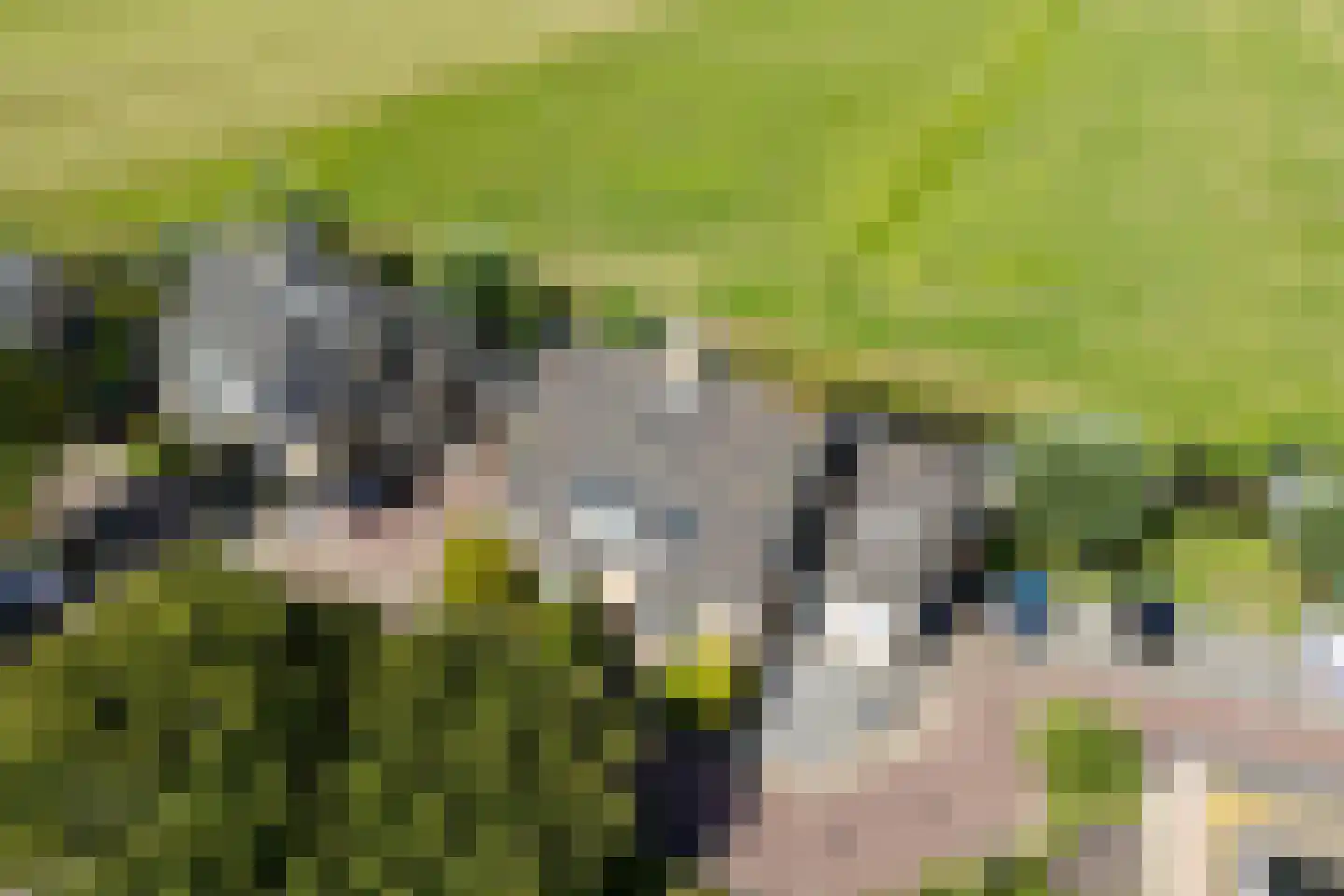 Huifkar 29 Sassenheim thumbnail 5