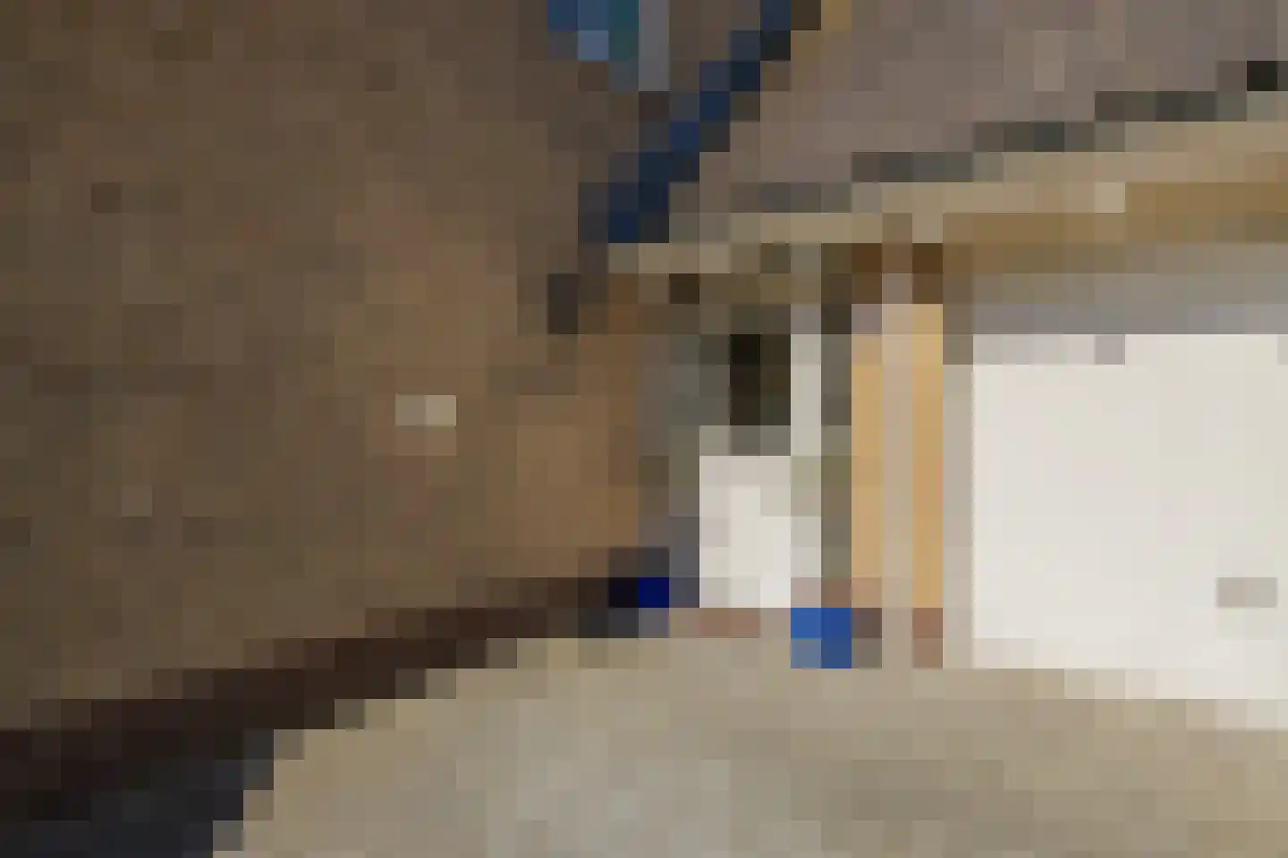 Huifkar 29 Sassenheim thumbnail 9