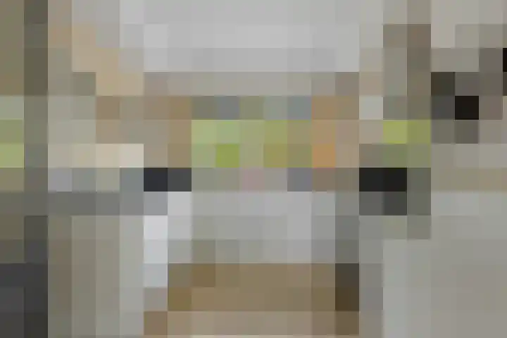 Huifkarpad 3 Amsterdam thumbnail 12