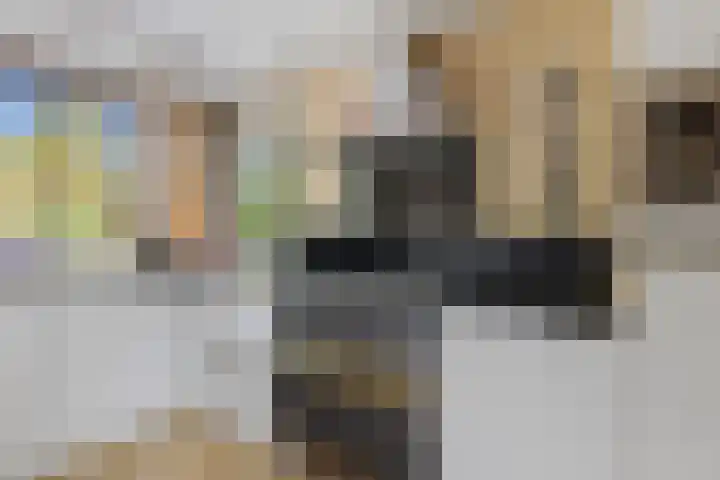 Huifkarpad 3 Amsterdam thumbnail 13