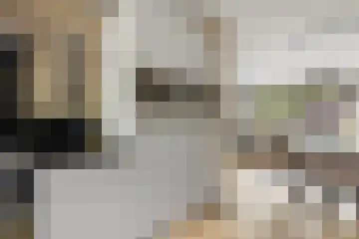 Huifkarpad 3 Amsterdam thumbnail 14