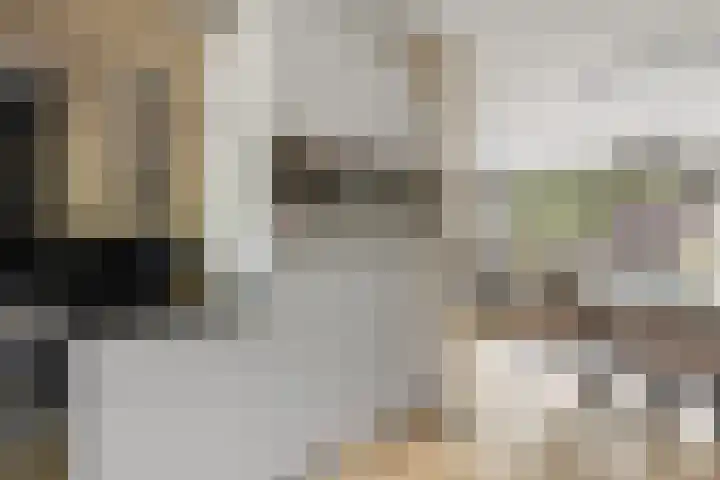 Huifkarpad 3 Amsterdam thumbnail 15