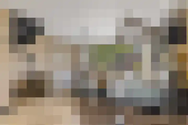 Huifkarpad 3 Amsterdam thumbnail 16