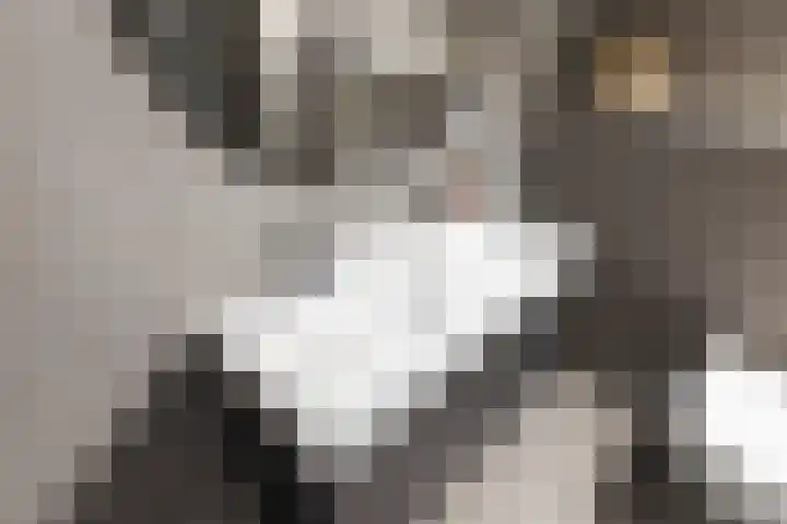Huifkarpad 3 Amsterdam thumbnail 26