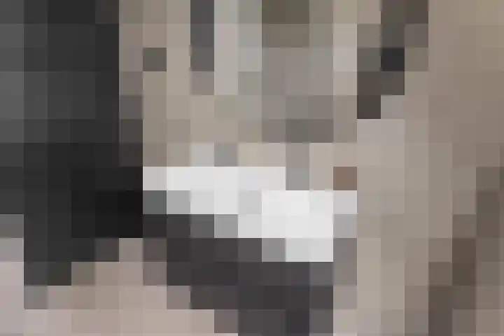 Huifkarpad 3 Amsterdam thumbnail 27