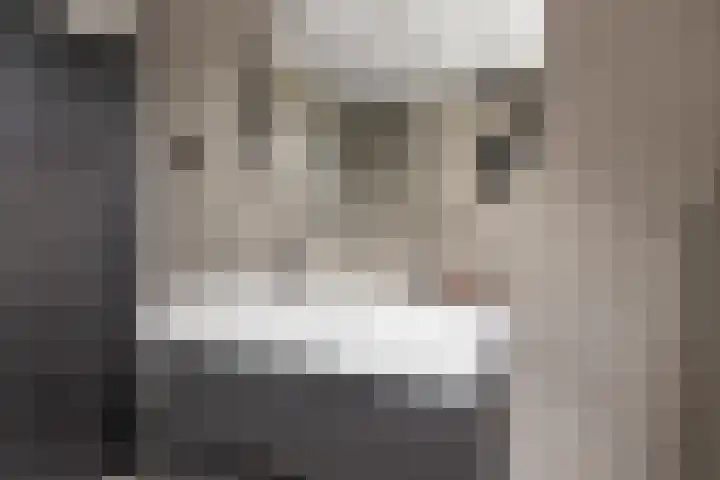 Huifkarpad 3 Amsterdam thumbnail 28