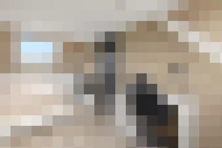 Huifkarpad 3 Amsterdam thumbnail 35