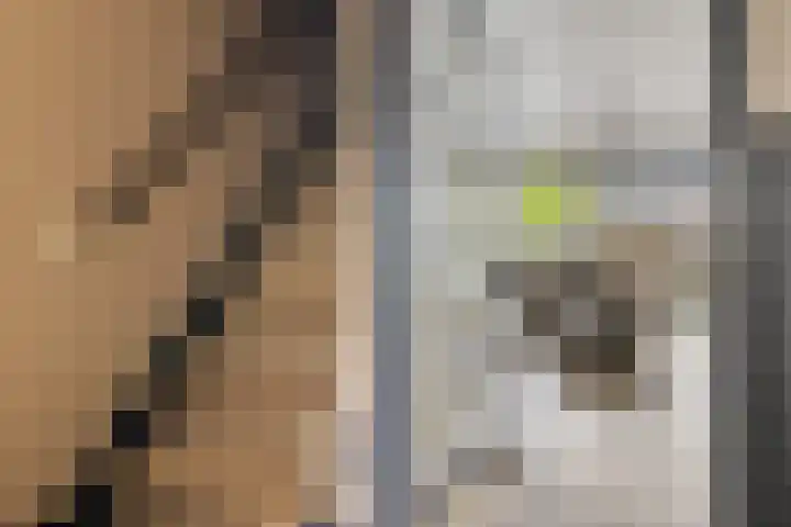 Huifkarpad 3 Amsterdam thumbnail 4