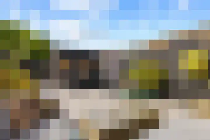 Huifkarpad 3 Amsterdam thumbnail 41