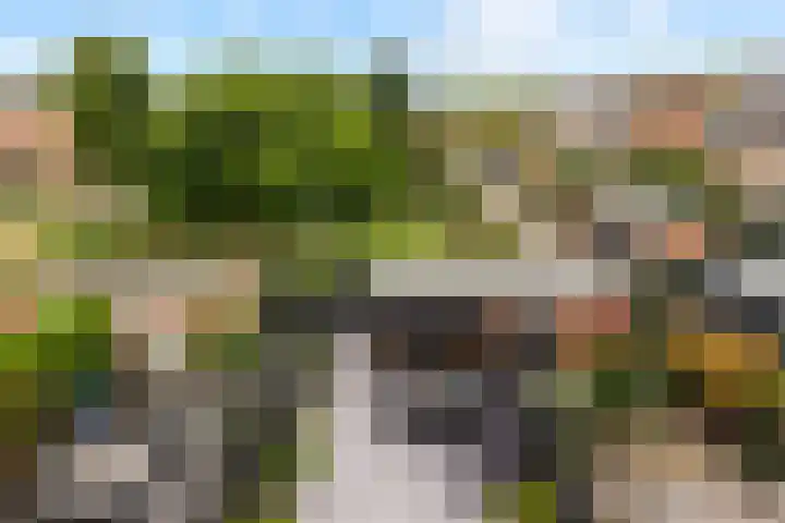 Huifkarpad 3 Amsterdam thumbnail 45