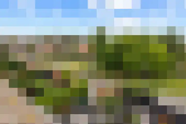 Huifkarpad 3 Amsterdam thumbnail 46