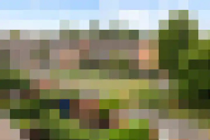 Huifkarpad 3 Amsterdam thumbnail 47