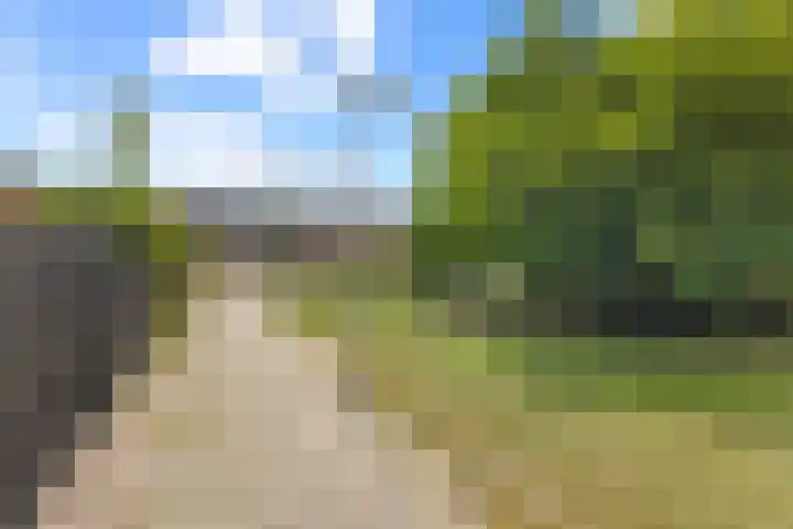 Huifkarpad 3 Amsterdam thumbnail 48