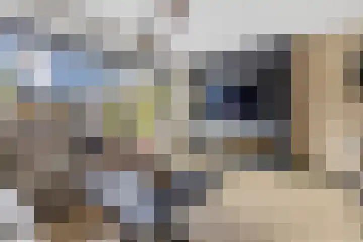 Huifkarpad 3 Amsterdam thumbnail 7