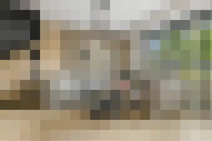 Huifkarpad 3 Amsterdam thumbnail 8