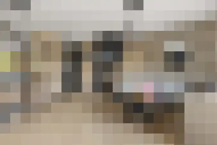 Huifkarpad 3 Amsterdam thumbnail 9