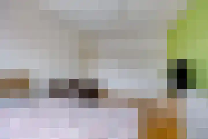 Huifkarstraat 30 Purmerend thumbnail 20