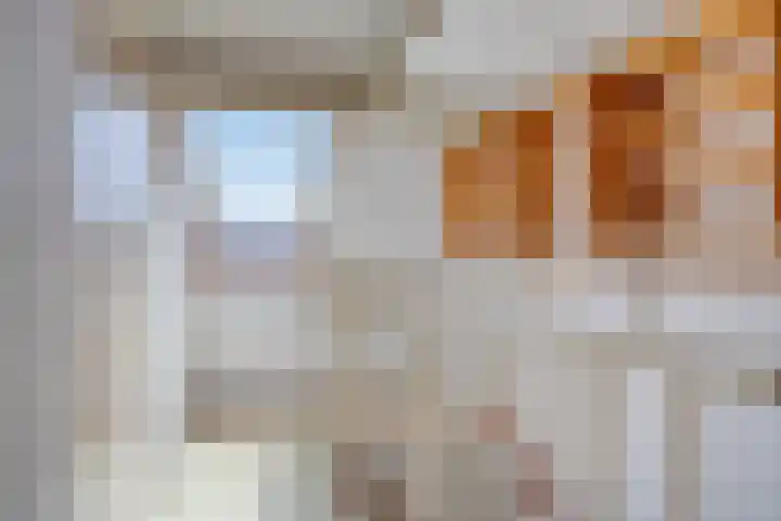 Huifkarstraat 30 Purmerend thumbnail 26