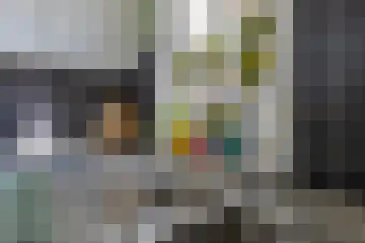 Huig Maaskantstraat 3 Bergschenhoek thumbnail 11