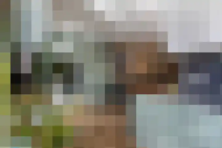 Huig Maaskantstraat 3 Bergschenhoek thumbnail 12