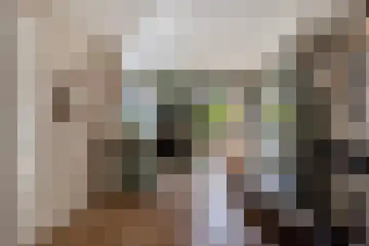 Huig Maaskantstraat 3 Bergschenhoek thumbnail 15