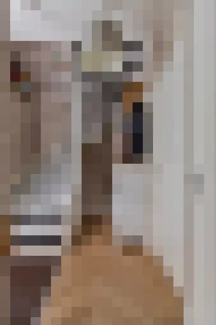 Huig Maaskantstraat 3 Bergschenhoek thumbnail 25