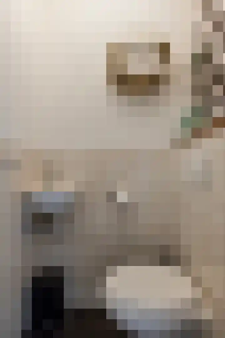 Huig Maaskantstraat 3 Bergschenhoek thumbnail 26