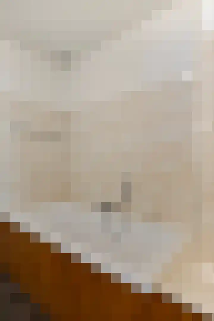 Huig Maaskantstraat 3 Bergschenhoek thumbnail 33