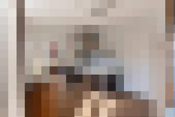 Huig Maaskantstraat 3 Bergschenhoek thumbnail 35