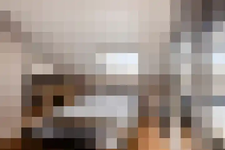 Huig Maaskantstraat 3 Bergschenhoek thumbnail 40