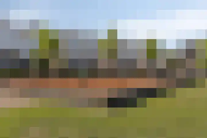 Huig Maaskantstraat 3 Bergschenhoek thumbnail 43