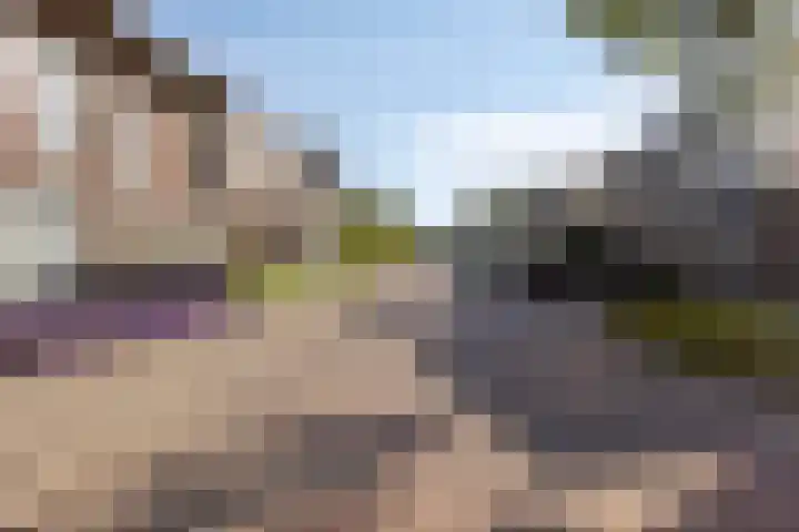 Huig Maaskantstraat 3 Bergschenhoek thumbnail 5