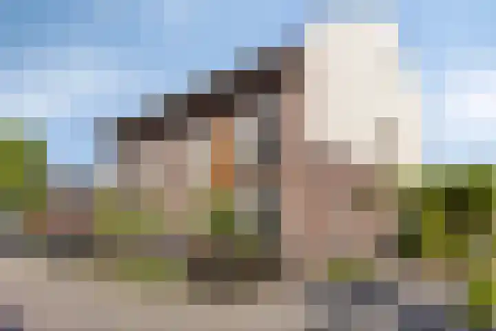 Huig Maaskantstraat 3 Bergschenhoek thumbnail 6