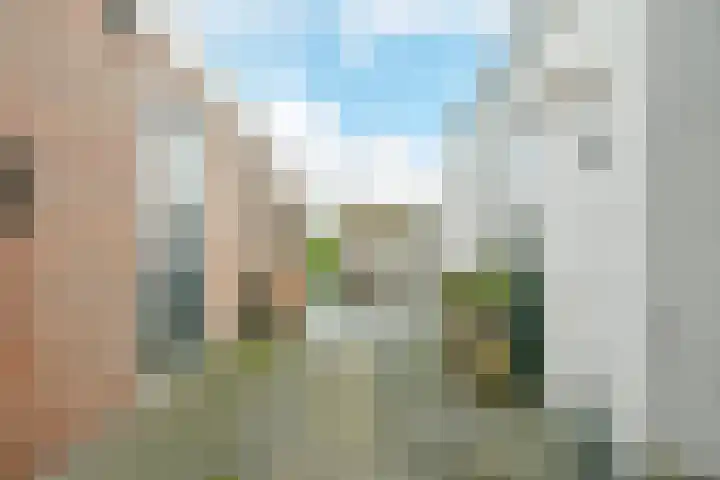 Huigsloterdijk 374 B Buitenkaag thumbnail 16