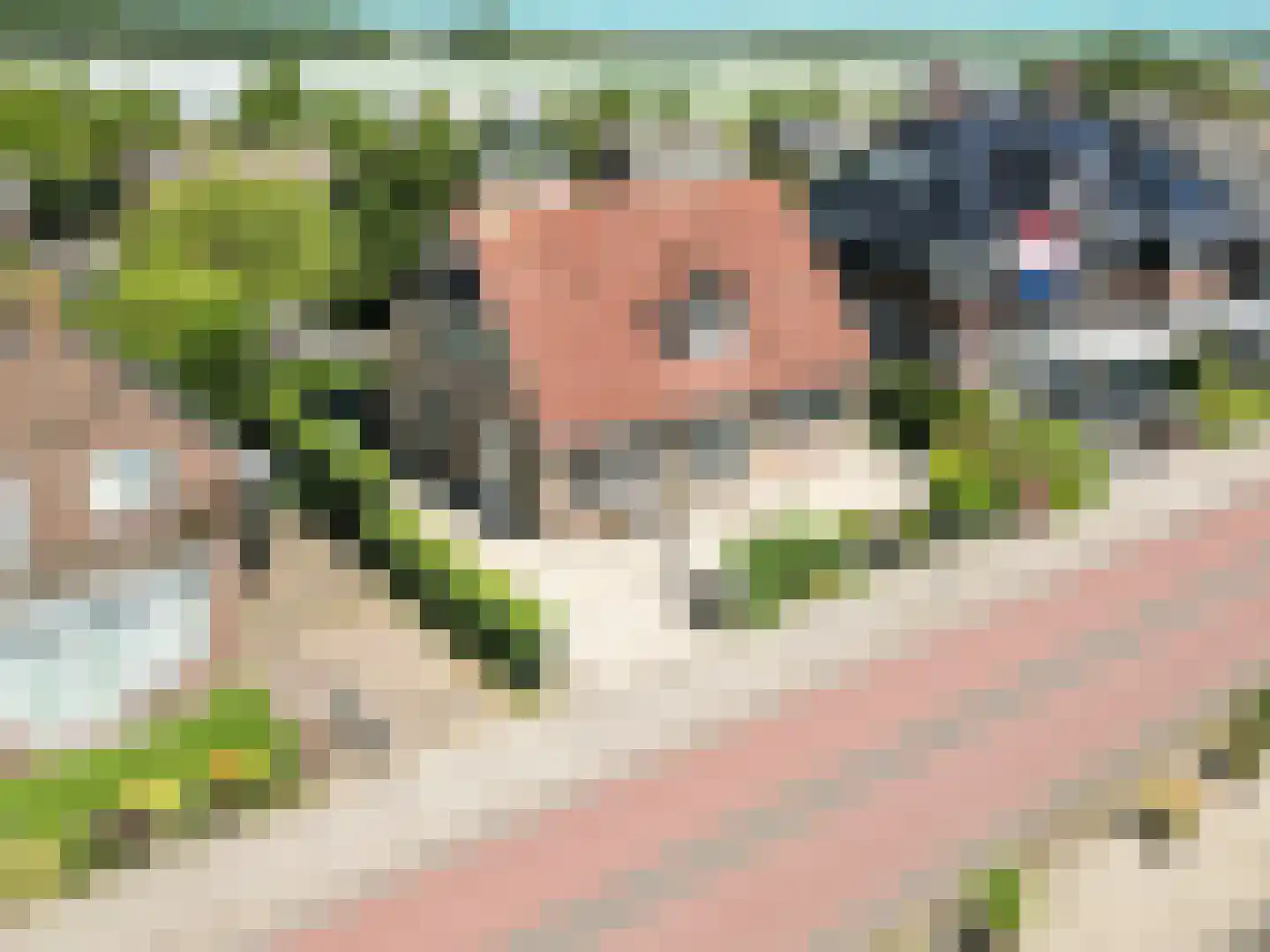 Huigsloterdijk 381 Buitenkaag thumbnail 47