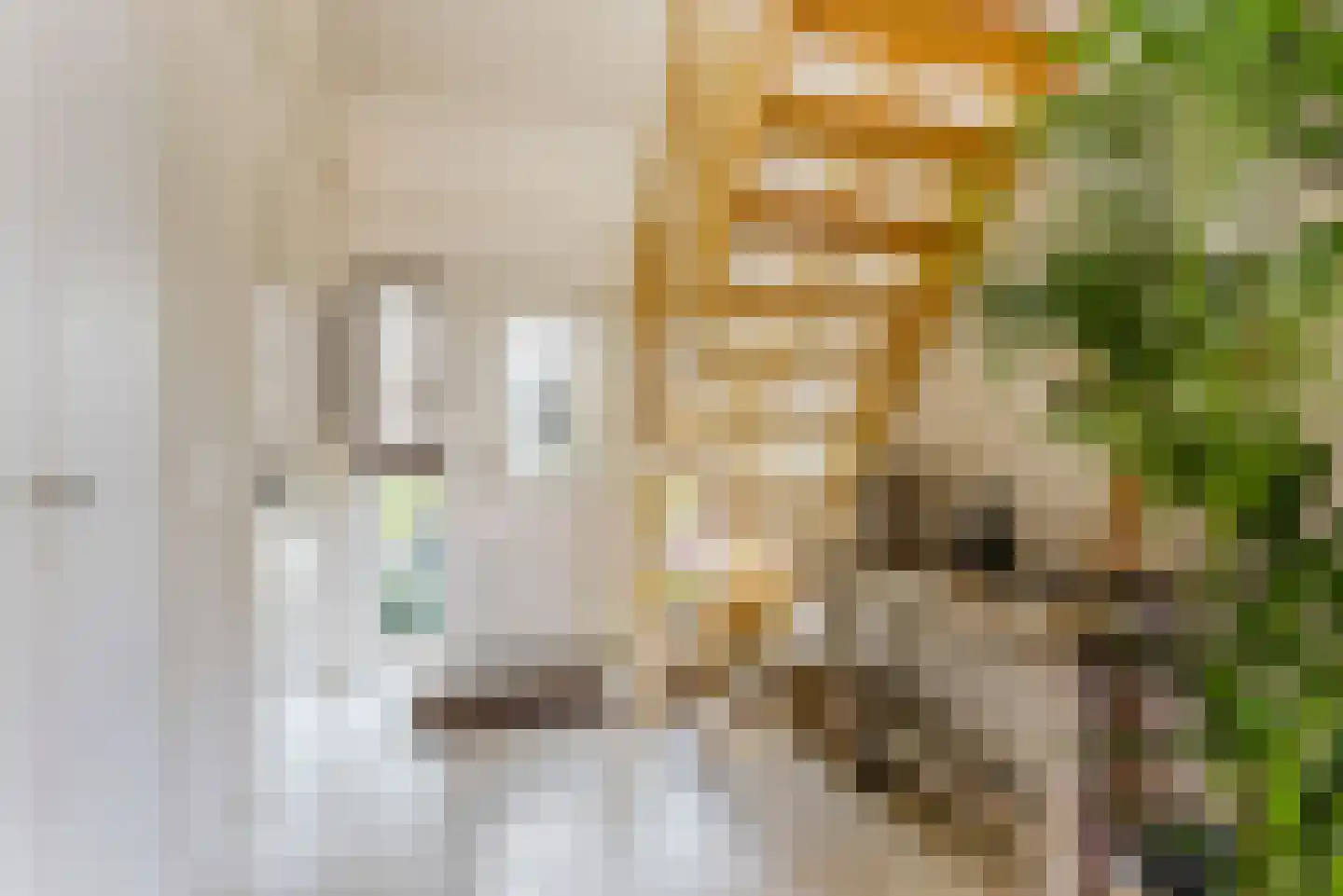 Huigsloterdijk 381 Buitenkaag thumbnail 5