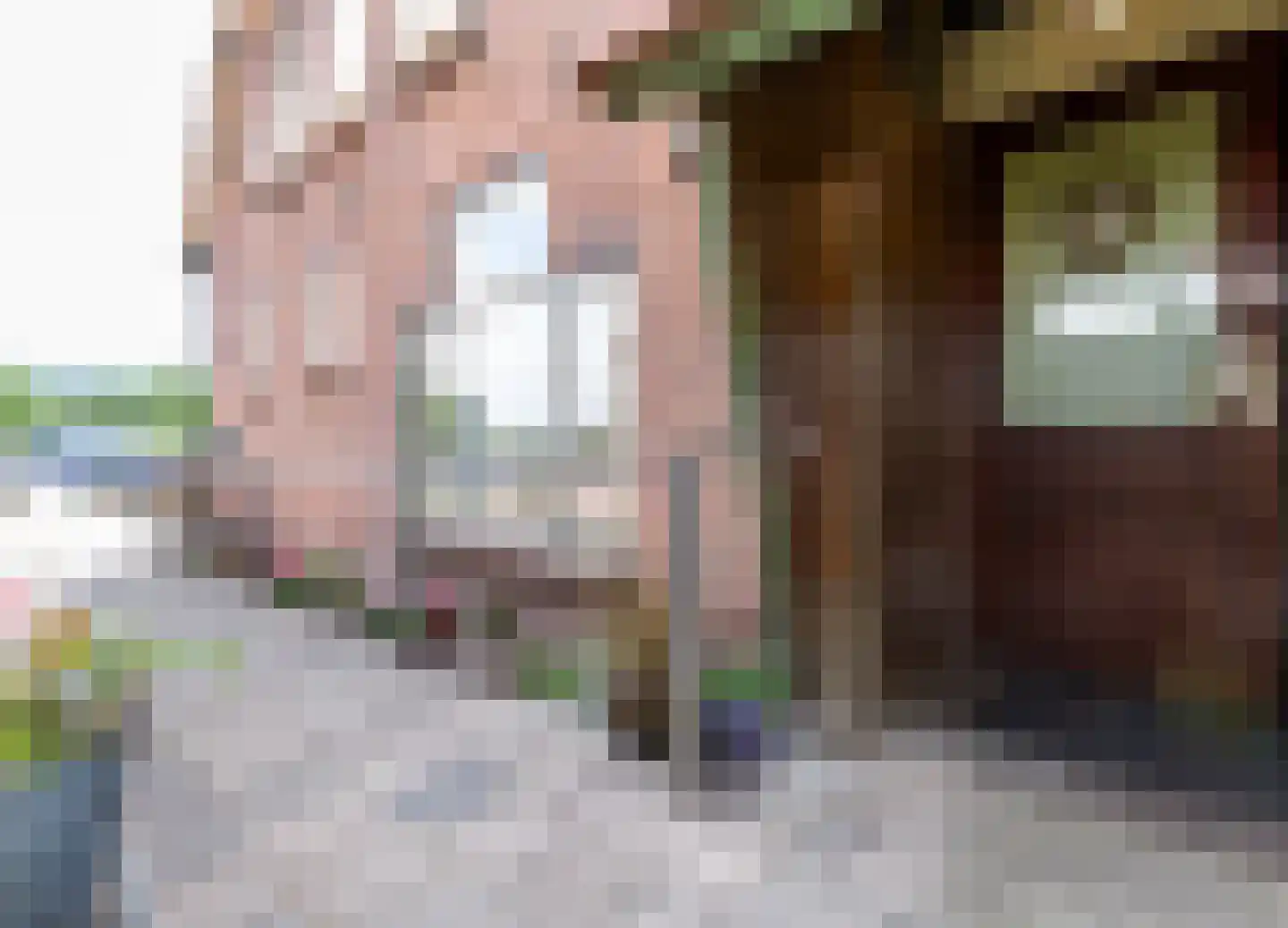 Huigsloterdijk 386 Buitenkaag thumbnail 13
