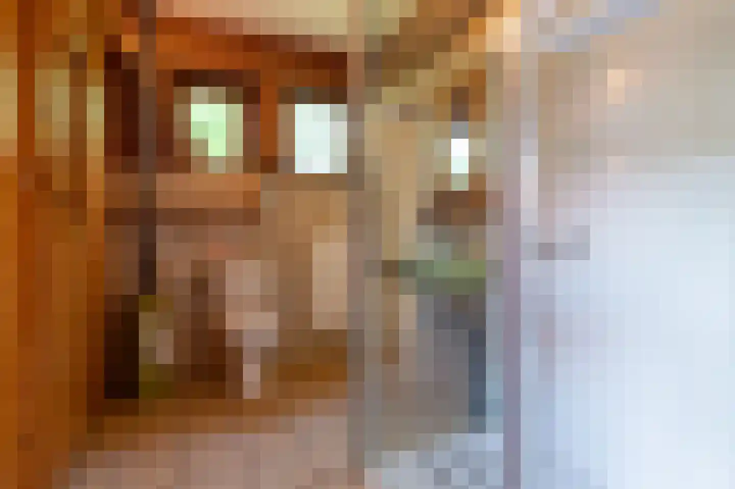 Huigsloterdijk 386 Buitenkaag thumbnail 21