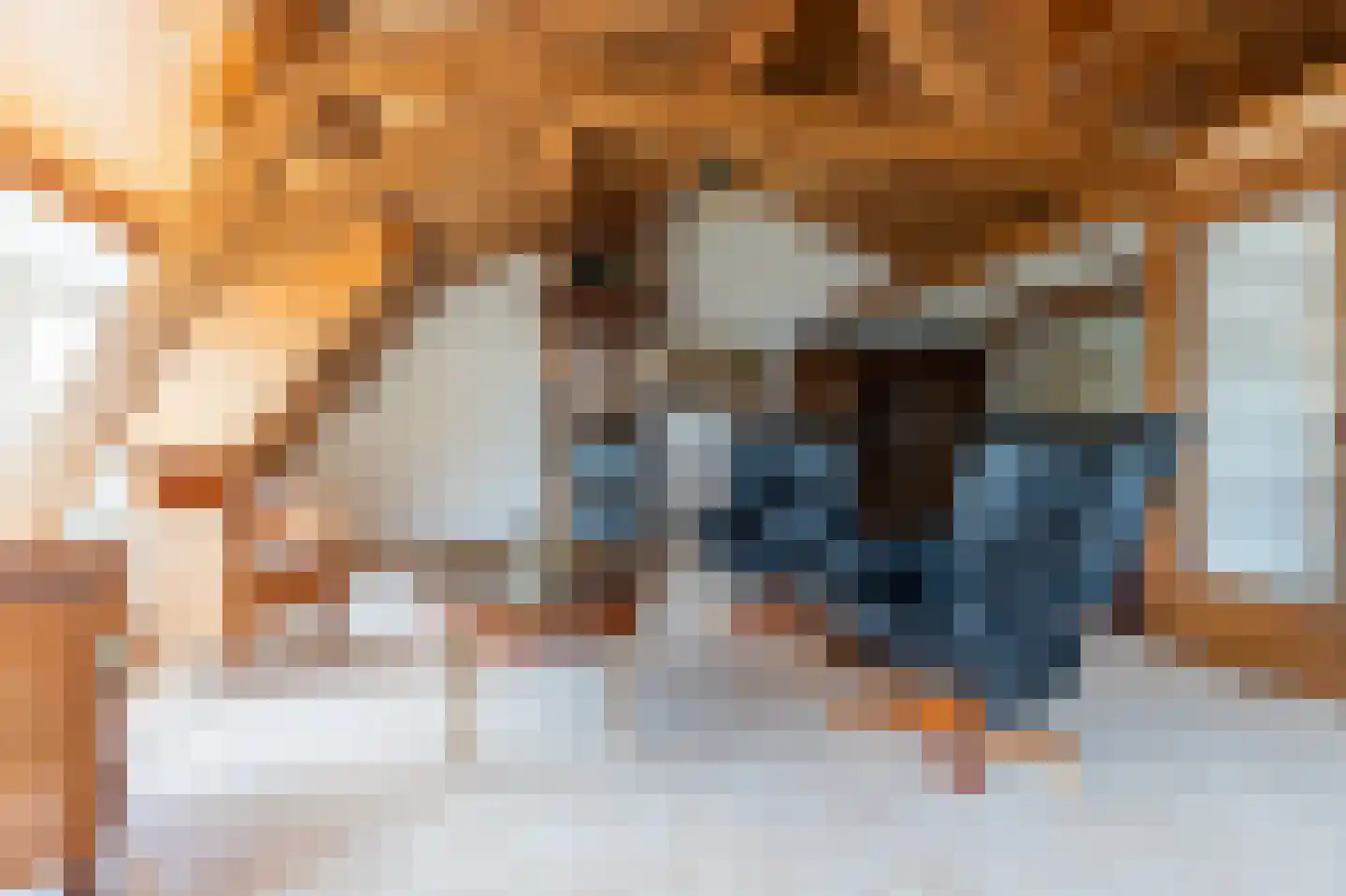 Huigsloterdijk 386 Buitenkaag thumbnail 38