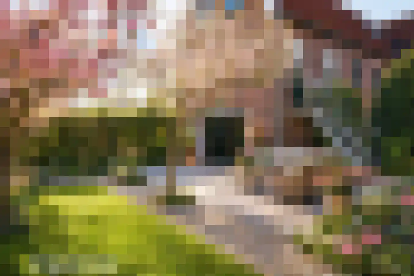 Huigsloterdijk 410 Buitenkaag thumbnail 31