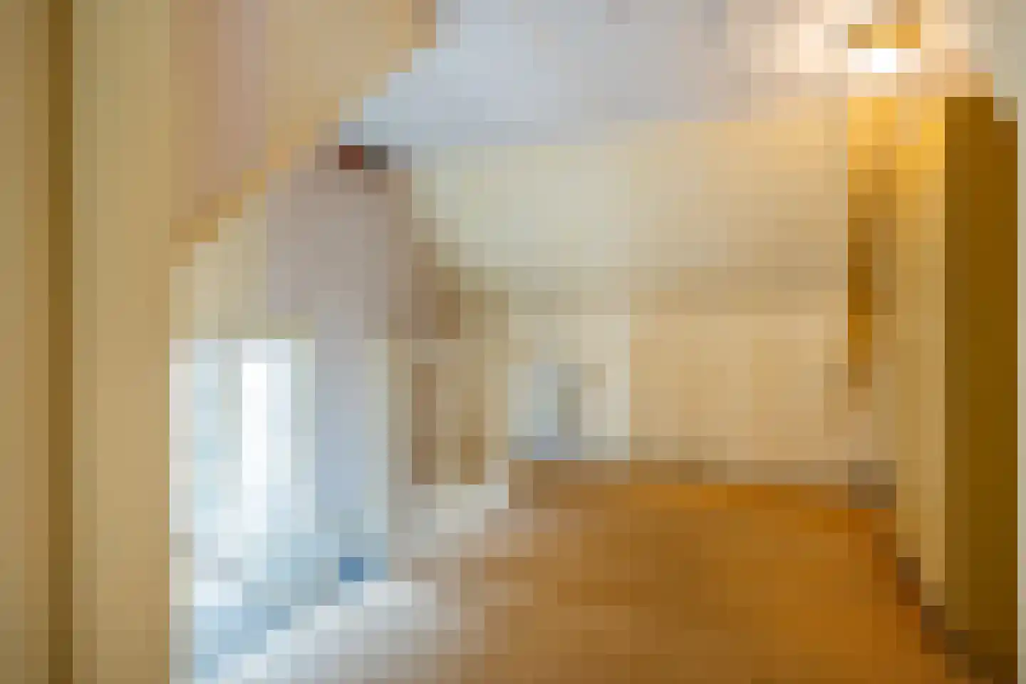 Huigsloterdijk 410 Buitenkaag thumbnail 34