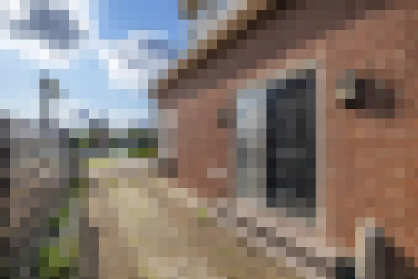 Huigsloterdijk 68 Weteringbrug thumbnail 7