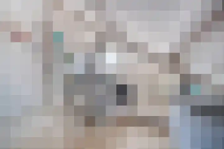 Huijbergsestraat 6 Bergen op Zoom thumbnail 30