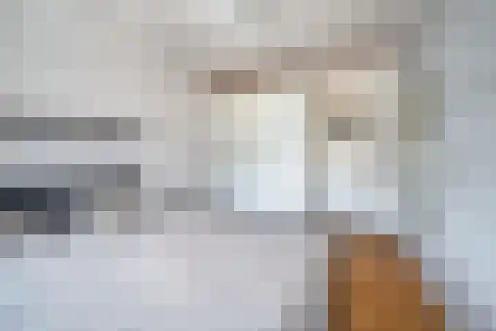 Huijbergsestraat 6 Bergen op Zoom thumbnail 32