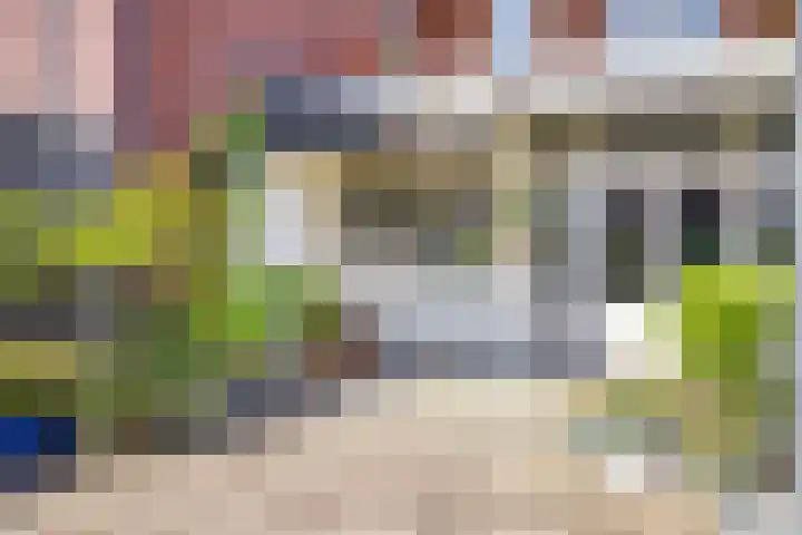 Huijbergsestraat 6 Bergen op Zoom thumbnail 43