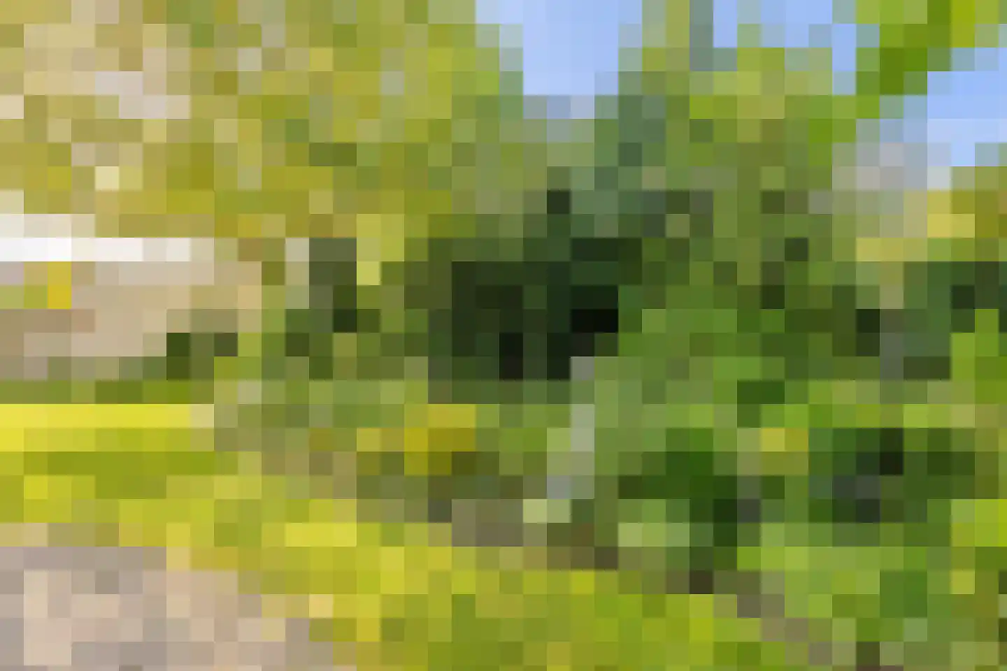 Huijbergseweg 5 Roosendaal thumbnail 37