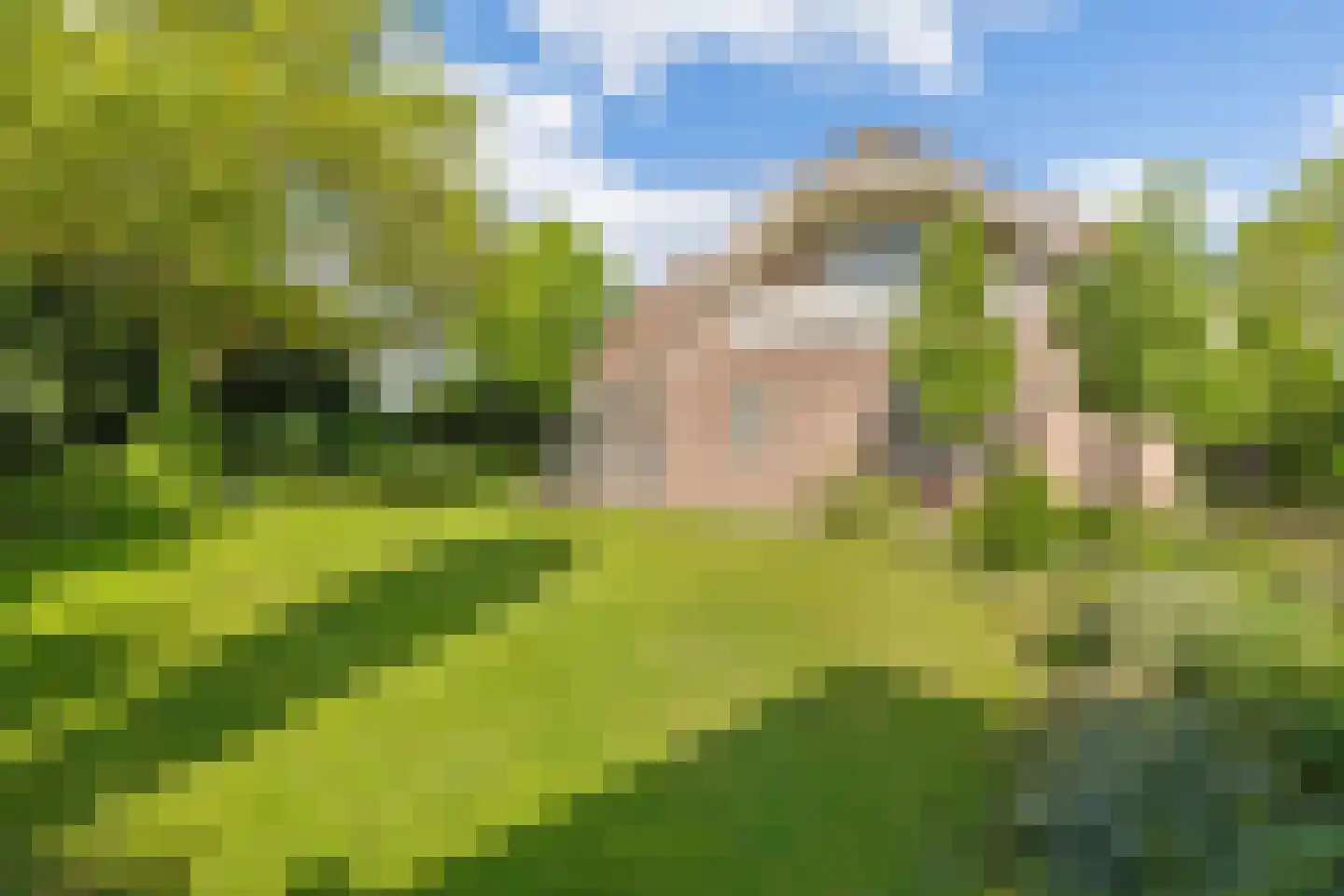 Huijbergseweg 5 Roosendaal thumbnail 41