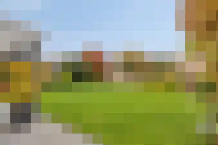 Huijbergseweg 79 Hoogerheide thumbnail 46